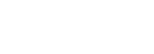 Logo dataport